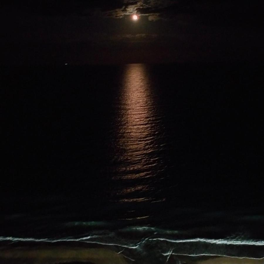 ポルト・ポテンツァ・ピチェーナLa Casa Al Mare Di Giuliaアパートメント エクステリア 写真